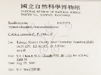 登錄號:F0027073藏品圖，第2張