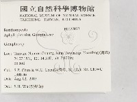 登錄號:F0027077藏品圖，第2張