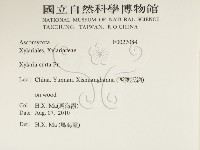 登錄號:F0027084藏品圖，第2張