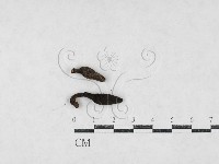 登錄號:F0027084藏品圖，第1張