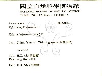 登錄號:F0027085藏品圖，第2張