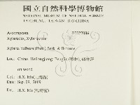 登錄號:F0027086藏品圖，第2張