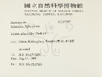 登錄號:F0027087藏品圖，第2張