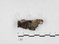 登錄號:F0027088藏品圖，第3張