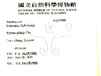 登錄號:F0027089藏品圖，第2張