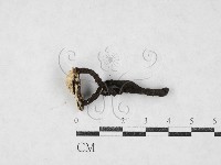 登錄號:F0027089藏品圖，第1張