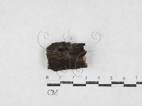 登錄號:F0027096藏品圖，第1張