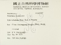 登錄號:F0027097藏品圖，第2張