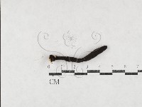 登錄號:F0027097藏品圖，第1張