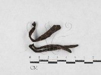 登錄號:F0027098藏品圖，第1張