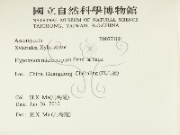 登錄號:F0027100藏品圖，第2張