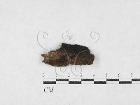 登錄號:F0027100藏品圖，第1張