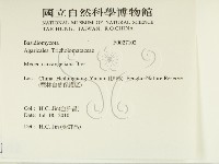 登錄號:F0027102藏品圖，第2張