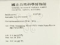 登錄號:F0027104藏品圖，第2張