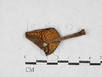 登錄號:F0027105藏品圖，第3張