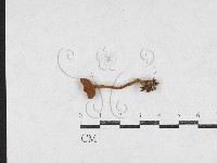 登錄號:F0027106藏品圖，第3張