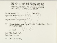 登錄號:F0027107藏品圖，第2張