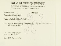 登錄號:F0027109藏品圖，第2張