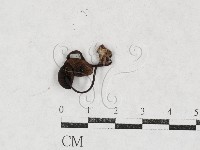 登錄號:F0027112藏品圖，第1張