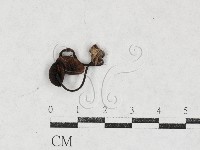 登錄號:F0027112藏品圖，第3張