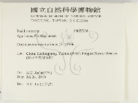 登錄號:F0027116藏品圖，第2張