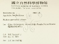 登錄號:F0027118藏品圖，第2張