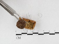 登錄號:F0027118藏品圖，第3張