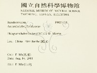登錄號:F0027121藏品圖，第2張