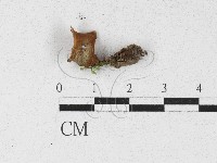 登錄號:F0027121藏品圖，第1張