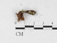 登錄號:F0027121藏品圖，第3張