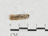 登錄號:F0027122藏品圖，第3張