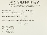 登錄號:F0027126藏品圖，第2張