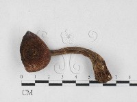 登錄號:F0027126藏品圖，第1張
