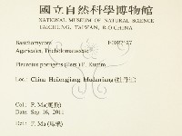登錄號:F0027127藏品圖，第2張
