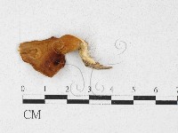 登錄號:F0027127藏品圖，第1張