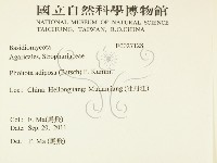 登錄號:F0027128藏品圖，第2張