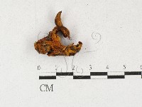 登錄號:F0027128藏品圖，第1張