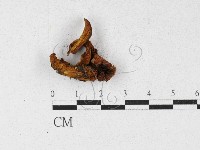 登錄號:F0027128藏品圖，第3張