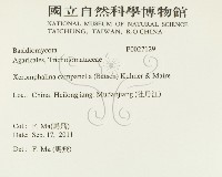 登錄號:F0027129藏品圖，第2張