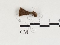 登錄號:F0027133藏品圖，第3張