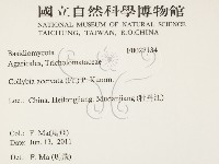 登錄號:F0027134藏品圖，第2張