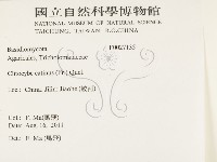 登錄號:F0027135藏品圖，第2張