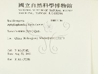 登錄號:F0027136藏品圖，第2張