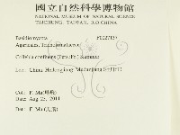 登錄號:F0027137藏品圖，第2張