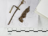 登錄號:F0027139藏品圖，第1張
