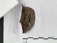 登錄號:F0027140藏品圖，第1張