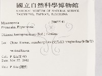 登錄號:F0027141藏品圖，第2張