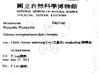 登錄號:F0027142藏品圖，第2張