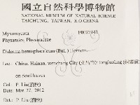 登錄號:F0027143藏品圖，第2張