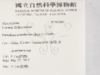 登錄號:F0027147藏品圖，第2張
